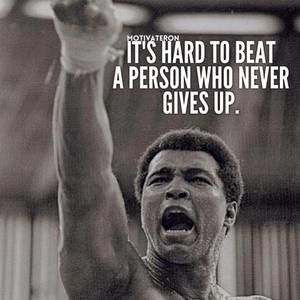 Meet your Posher, Lincoln